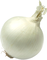 Cebolla blanca