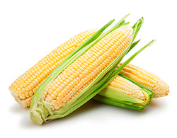 Elote dulce amarillo
