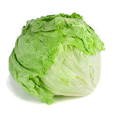 Lechuga