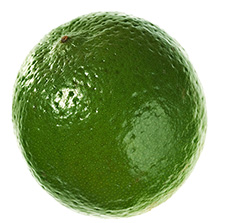 Limón