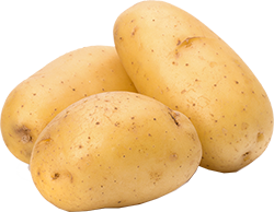 Papa Russet