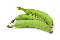 Plátano