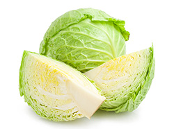Repollo